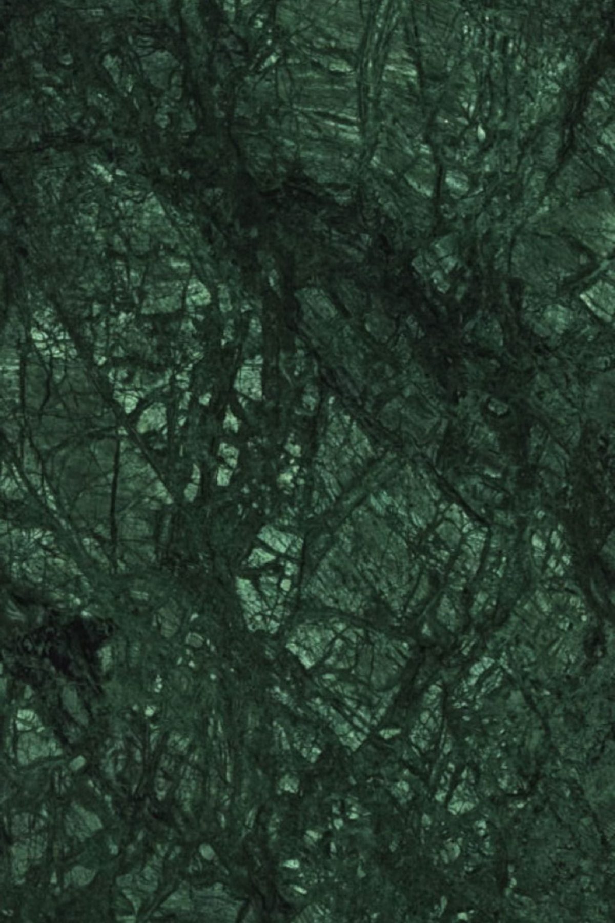 resizecom_95d0e9c36d6dfe27176f4d1ed13b285f